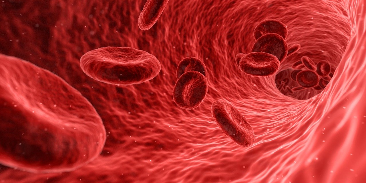 A2M Alpha-2 Macroglobulin Therapy in Hawaii at Hawaii Wellness Clinic